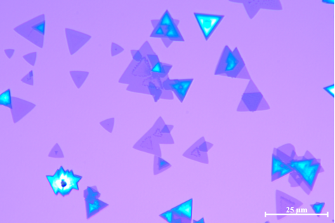 CVD二硫化钨膜WS2连续膜