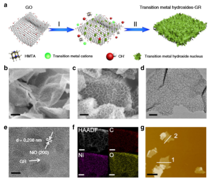 福州大学yi-jun xu课题组-合理设计石墨烯上过渡金属氢氧化物纳米片