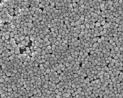 纳米银颗粒湿粉JCSNP-995-40