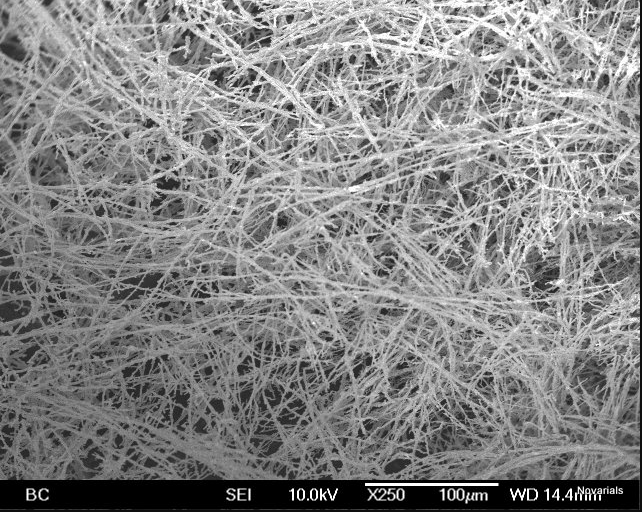 镍纳米线Nickel nanowires A200, Research grade