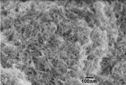 进口氢氧化铁纳米线粉末Iron oxyhydroxide nanowires