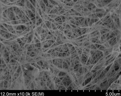进口纤维素纳米纤维Cellulose Nanofibers (from Bacteria),纤维素纳米纤维薄膜Cellulose Nanofiber Membranes