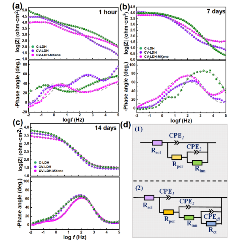 重庆大学材料科学与工程学院Shuang Yi等--Mg-A-V2O74-双掺杂-层